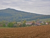 DSC_4917