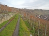 dscn3638
