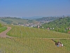 DSC_1321