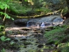 DSC_1959