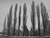 dsc_9021