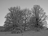 dsc_9458