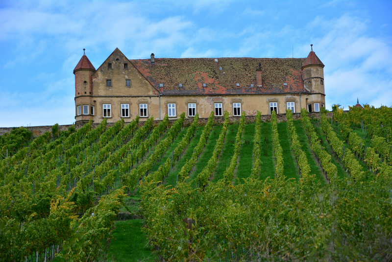 Heilbronner Land: Untergruppenbacher Rundwanderweg