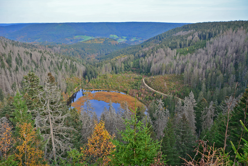 Schwarzwald Mitte: Holzmacher-Tour durchs Tonbachtal (Baiersbronner Himmelswege)