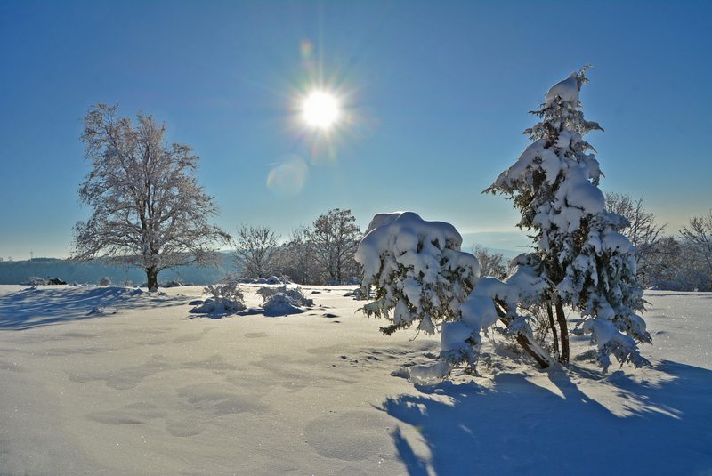Schwäbische Ostalb: Kaltes Feld Weg (Schnee-Tour)